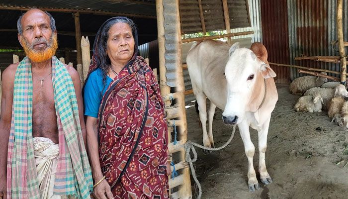 গ্রাম্য সালিশে বৃদ্ধ স্বামী-স্ত্রীকে একঘরে করে রাখার অভিযোগ 