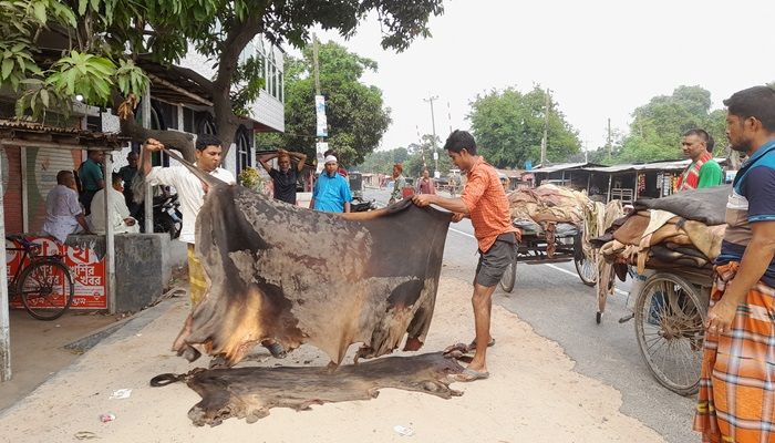 চামড়ায় ছত্রাকের প্রাদুর্ভাব নিয়ে দুশ্চিন্তা