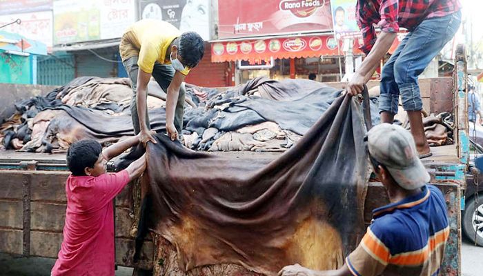 কোরবানির পশুর চামড়ার মূল্য নির্ধারণ করল সরকার