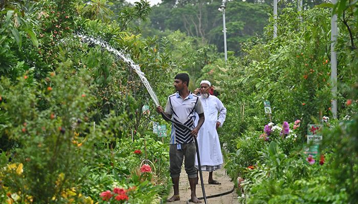 রাজধানীতে জাতীয় বৃক্ষমেলা