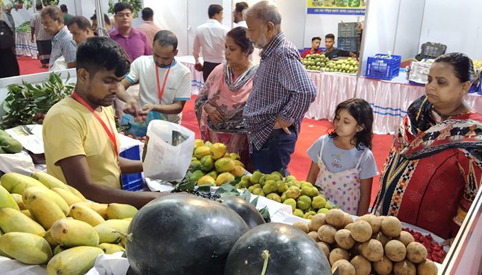 জাতীয় ফল মেলা ২০২৪