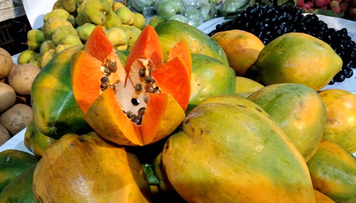 জাতীয় ফল মেলা ২০২৪