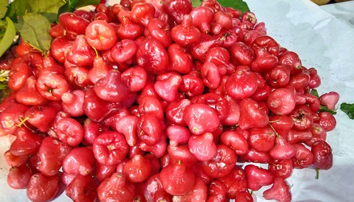 জাতীয় ফল মেলা ২০২৪