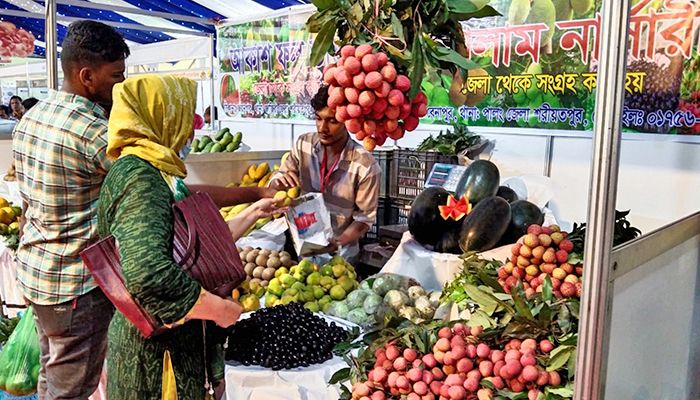 জাতীয় ফল মেলা ২০২৪