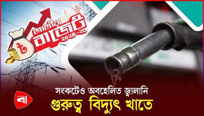 বরাদ্দ কমল বিদ্যুৎ ও জ্বালানি খাতে