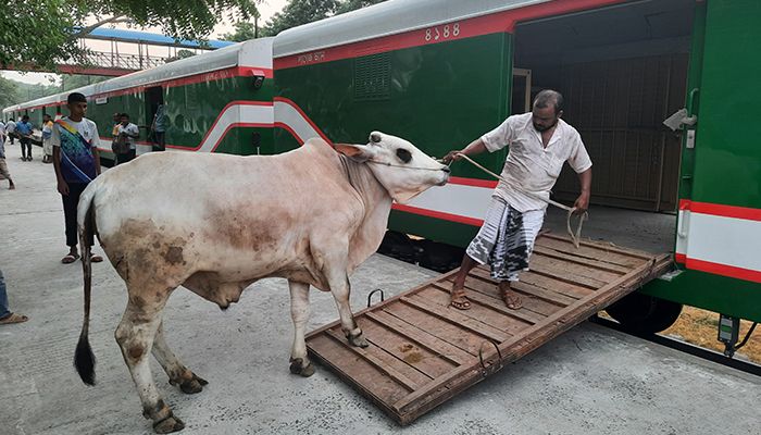 ম্যাংগো ট্রেনেই পশু পরিবহন শুরু 