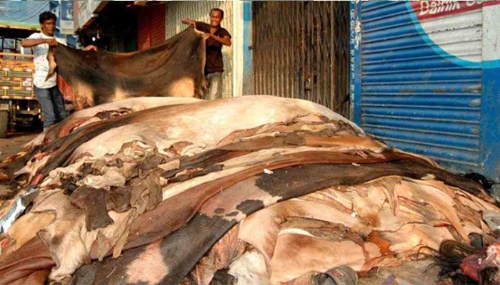 পশুর চামড়া কেনাবেচায় প্রভাব বিস্তার করলে ব্যবস্থা : ডিএমপি কমিশনার