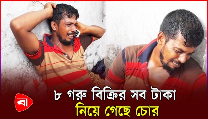 মূলধন হারিয়ে হাউমাউ করে কান্না গরু বিক্রেতাদের
