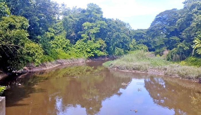 দূষণ ও লোভে বিপন্ন হালদা