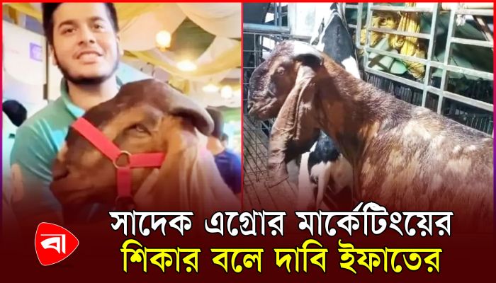 সাদেক এগ্রোর মার্কেটিংয়ের শিকার বলে দাবি ইফাতের