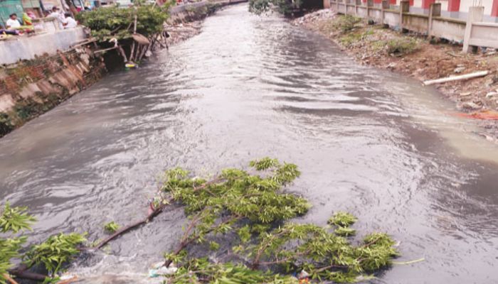 প্রতীকী ছবি