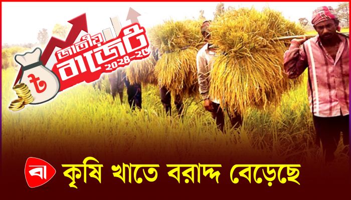 কৃষিসহ তিন খাতে বরাদ্দ বেড়েছে ২ হাজার তিনশ কোটি টাকা