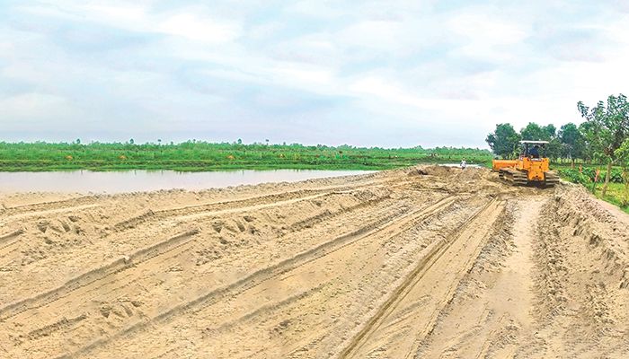 বিলের ফসলি জমি ভরাট করে হচ্ছে সোলার পার্ক