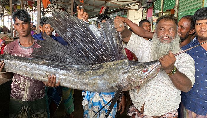 হাতিয়ায় এক দিনে ধরা পড়ল ২০ ও ২৫ কেজির পাখি মাছ 