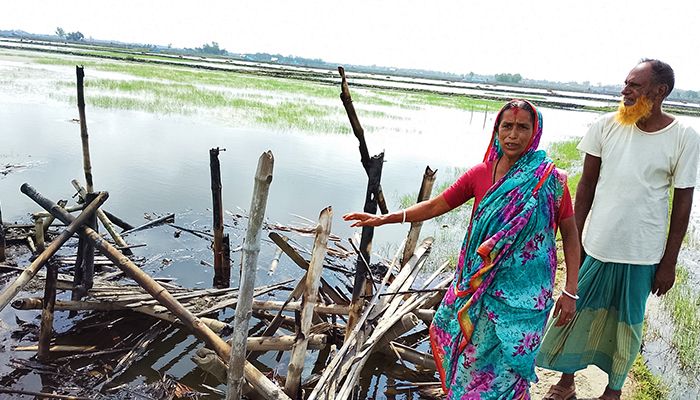 চিংড়ি ঘের দখলের অভিযোগ