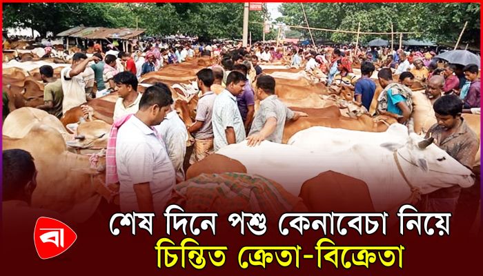 ক্রেতা-বিক্রেতার হাক-ডাকে সরগরম রাজধানীর হাটগুলো