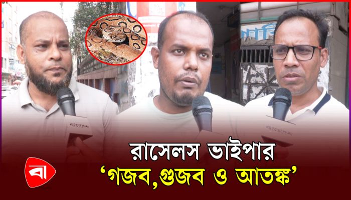 রাসেলস ভাইপার নিয়ে যা বলছেন রাজধানীবাসী