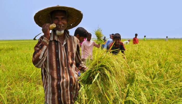 কৃষিসহ তিন খাতে বরাদ্দ বেড়েছে ২ হাজার ৮৮৫ কোটি টাকা