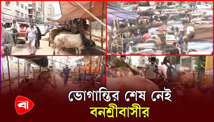 আবাসিক এলাকায় অবৈধ পশুর হাট