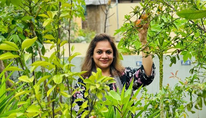 ছাদ বাগানে জনপ্রিয়