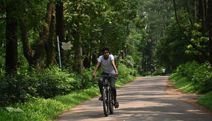 জাতীয় উদ্ভিদ উদ্যান