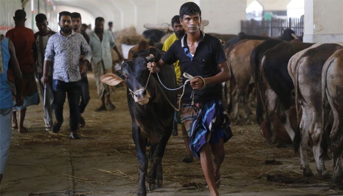 দামাদামি বেশি, বিক্রি কম