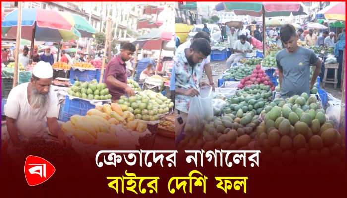 মৌসুমি ফলে বাজার সয়লাব, দামে অসন্তুষ্ট ক্রেতারা