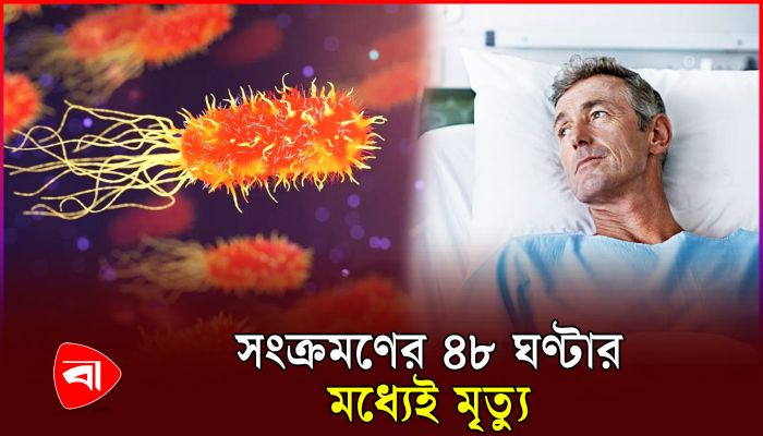 মানুষের শরীরে বাসা বাঁধছে মাংসখেকো ব্যাকটেরিয়া