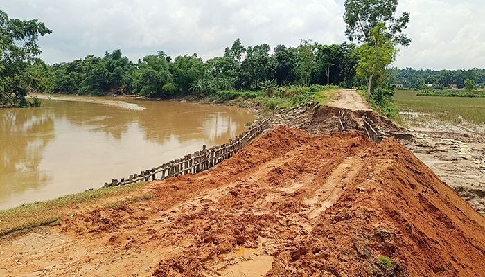 টিলার মাটি কেটে বাঁধ সংস্কার