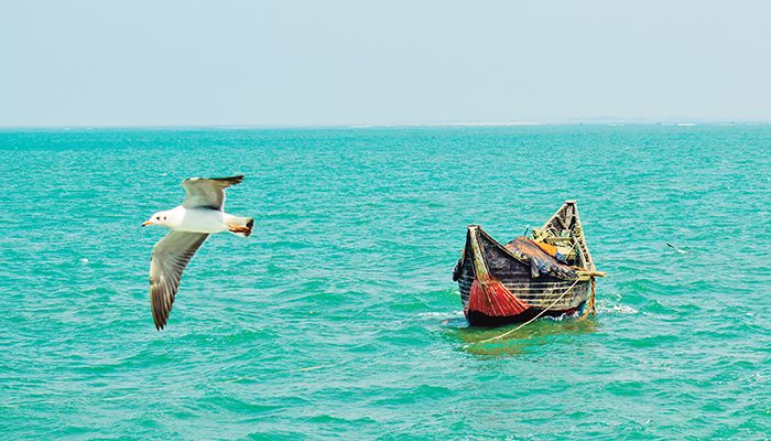 মহাজাগতিক প্রান্তরে ছড়িয়ে পড়ার আহ্বান