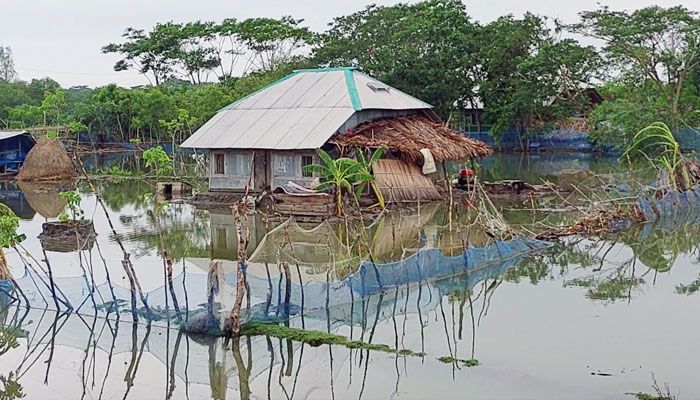 মোরেলগঞ্জের দেড় হাজার হেক্টর কৃষিজমি লবণাক্ততার কবলে