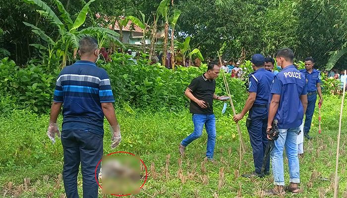 মাথার খুলি নিয়ে কুকুরের টানাটানি, বস্তায় মিলল টুকরো মরদেহ