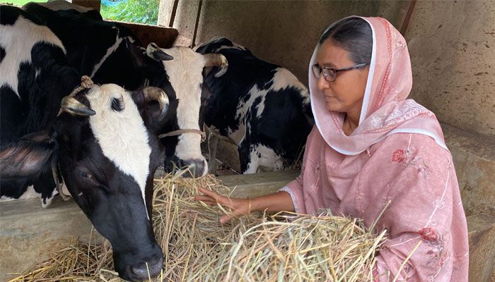 ব্যাংকার থেকে খামারি
