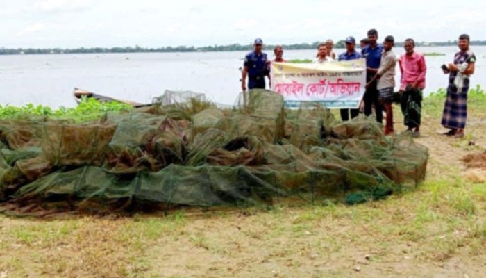 তাড়াইলে অবৈধ কারেন্ট জাল পুড়িয়ে ধ্বংস