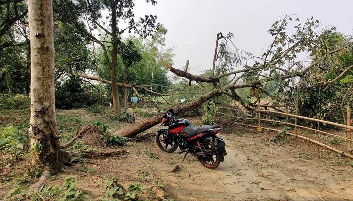 ১৫ মিনিটের ঝড়ে ‘লন্ডভন্ড’ বালিয়াডাঙ্গী, ৩ জনের মৃত্যু