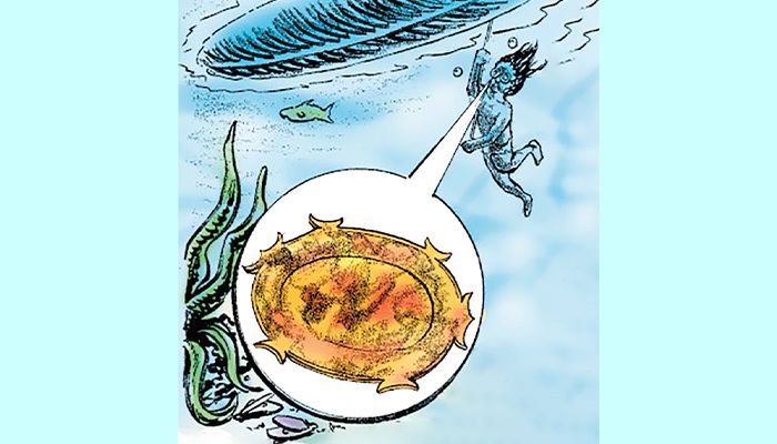 গগলস তৈরিতে কাছিমের খোলস