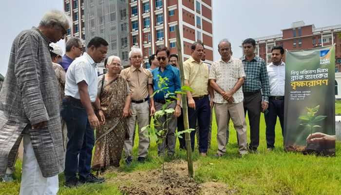 ৩ হাজার দেশি গাছ রোপণ করবে ‘তরুপল্লব’