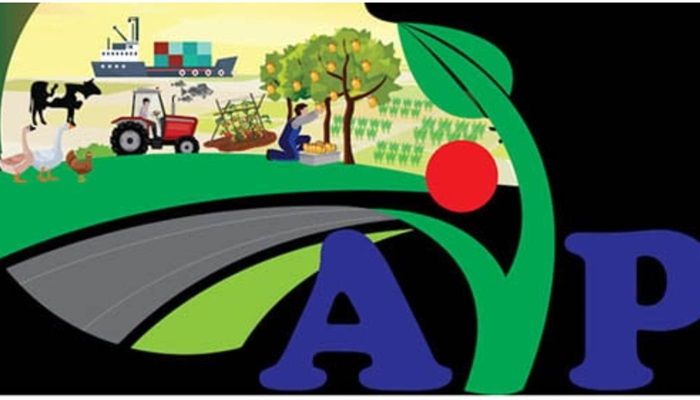 এআইপি সম্মাননা পাচ্ছেন ২২ ব্যক্তি