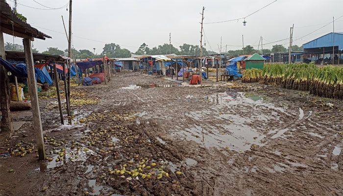 কাঁচাবাজারের দুঃখ ময়লা আবর্জনা জলাবদ্ধতা