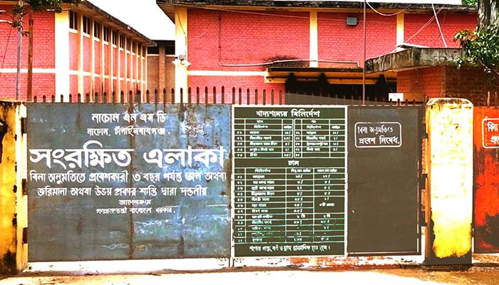 নাচোলে খাদ্যগুদামে গম সংগ্রহ শূন্য ধানে ধীরগতি