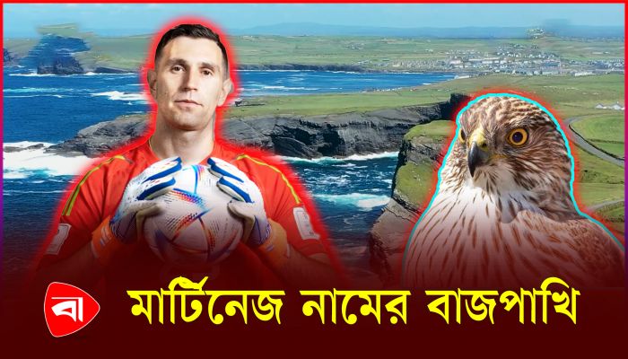 যেভাবে বাস্তব জীবনের যোদ্ধা গোলপোস্টের অতন্দ্রপ্রহরী মার্টিনেজ