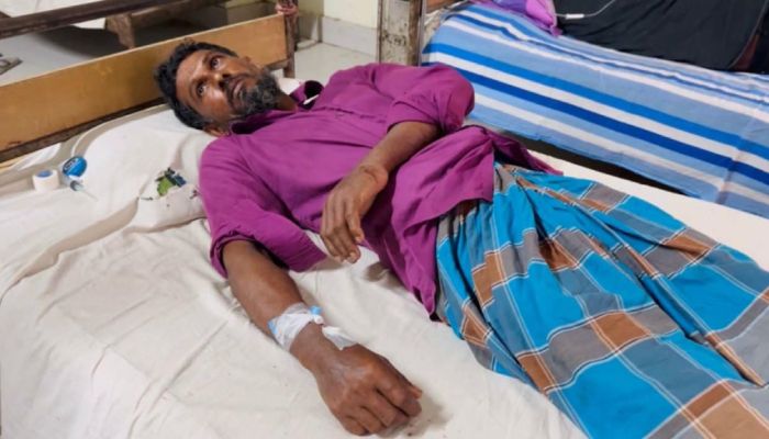 রাসেলস ভাইপার সাপে কাটা সুলতানকে বাঁচিয়ে দিল অ্যান্টিভেনম