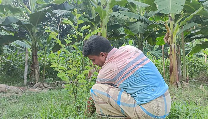 শখ থেকে সফল উদ্যেক্তা