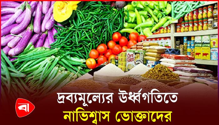 'নজরদারির অভাবে পণ্যের দাম বাড়াচ্ছে ব্যবসায়ীরা'