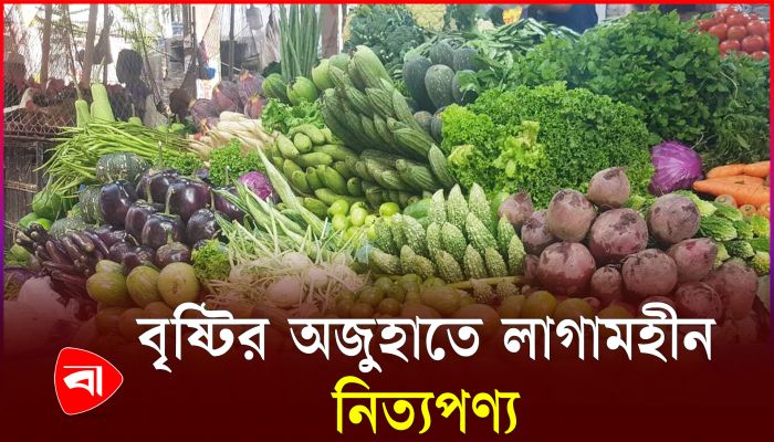এক দিনের ব্যবধানে নিত্যপণ্যের দাম বেড়েছে তিনগুণ