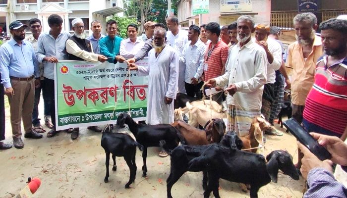 কাশিয়ানীতে জেলেদের মধ্যে ছাগল বিতরণ
