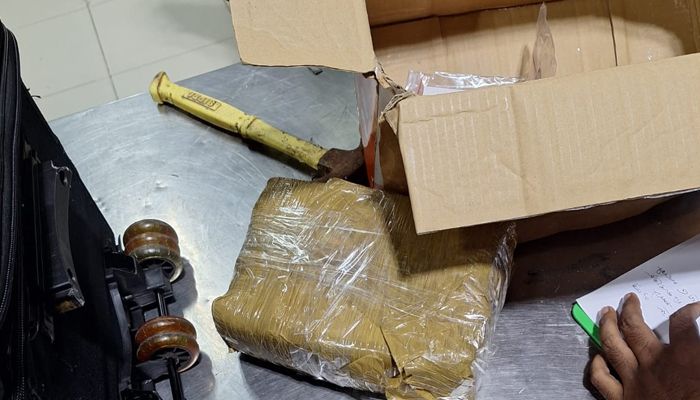 ৩ কেজি ৮০০ গ্রাম কোকেনসহ বাহামার নাগরিক আটক