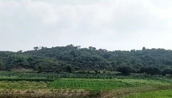 রাখাইনে বিমান হামলা, বিকট শব্দে কাঁপছে টেকনাফ