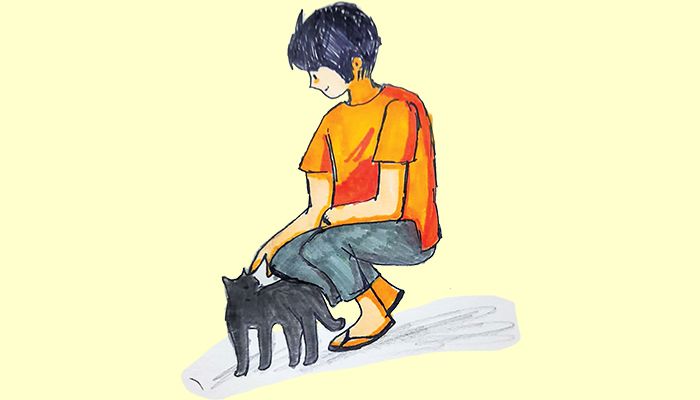 পাশের বাসার কালো বিড়াল