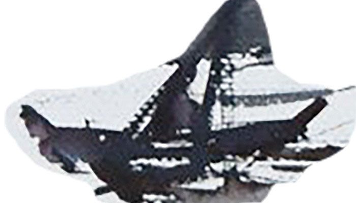 বর্ষার বন